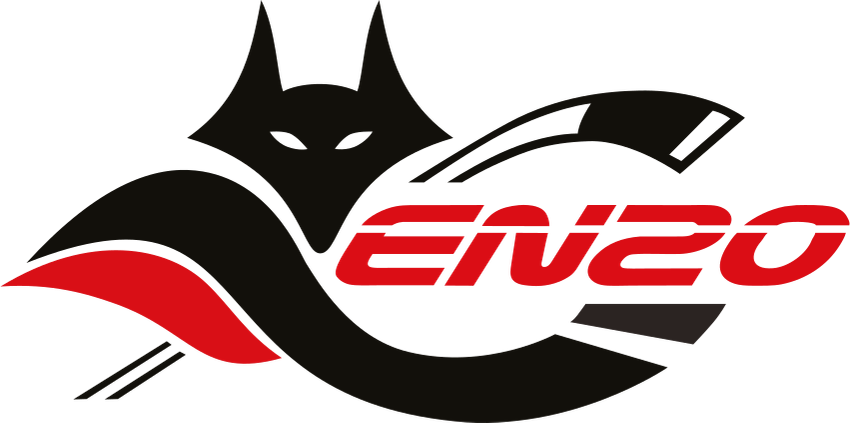 ENZO – Eishockey Nachwuchs Zentrum Ost
